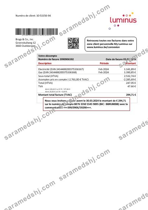 Belgium Luminus business utility bill template in Word and PDF format